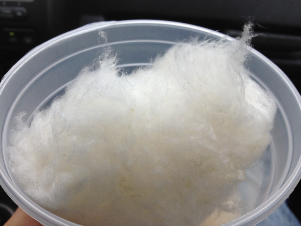 Maple Cotton Candy