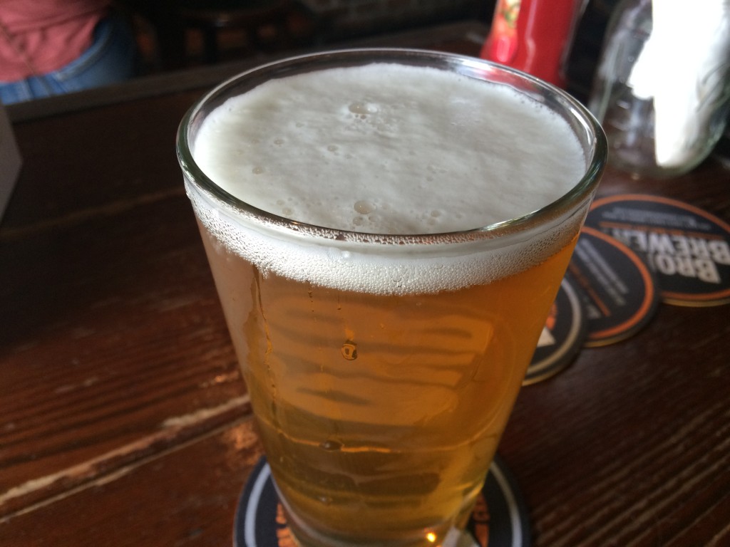 Barrier Brewery's Melt at BRONX ALE HOUSE