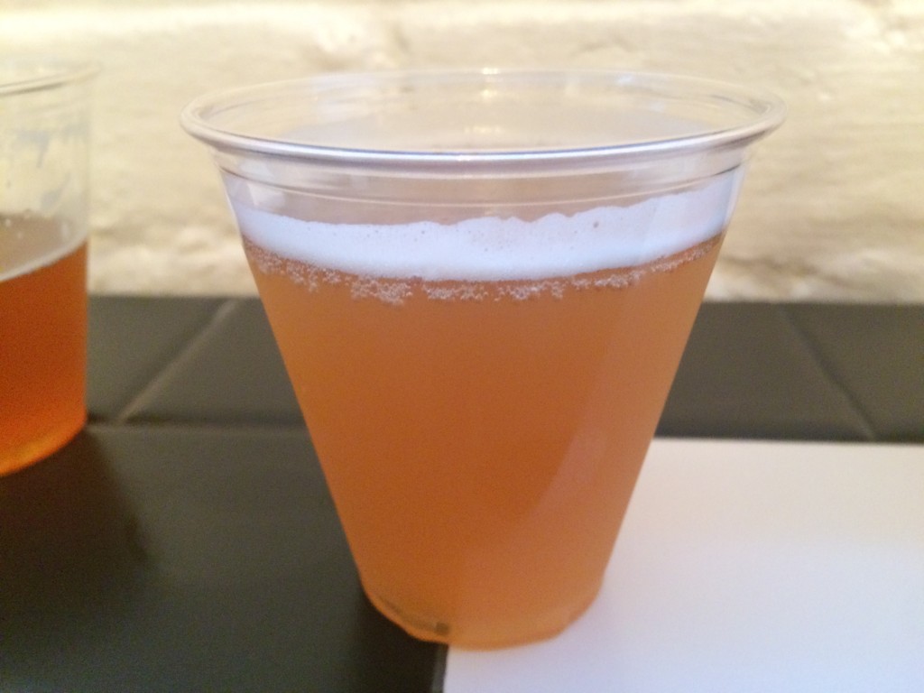Session India Pale Ale at BRONX BREWERY